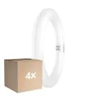 Confezione Multipack 4x Osram Tubo LED T9 Circolare (EM/Mains) 11W 1320lm - 840 Bianco Freddo | Sostitutiva 22W